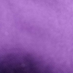 Meet your Posher, Holly